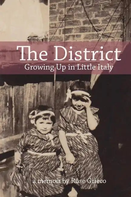 The District: Growing Up in Little Italy - Paperback
