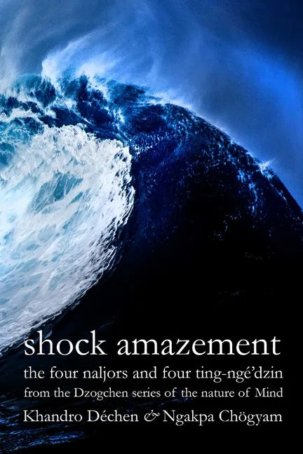 Shock Amazement - Paperback