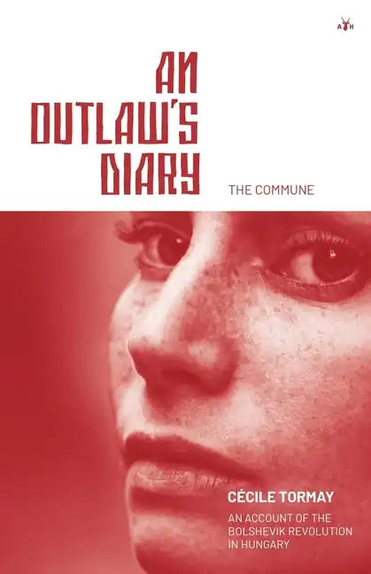 An Outlaw's Diary - Paperback