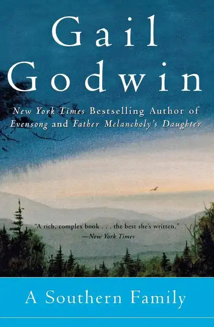 A Southern Family - Paperback