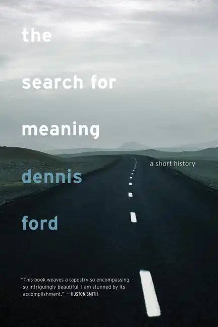 The Search for Meaning: A Short History - Paperback