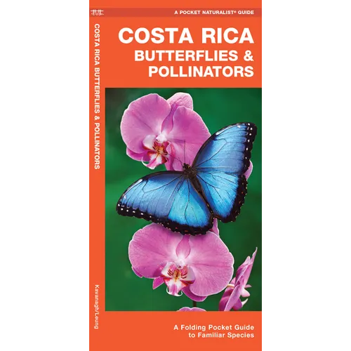 Costa Rica Butterflies & Pollinators: A Folding Pocket Guide to Familiar Species - Paperback