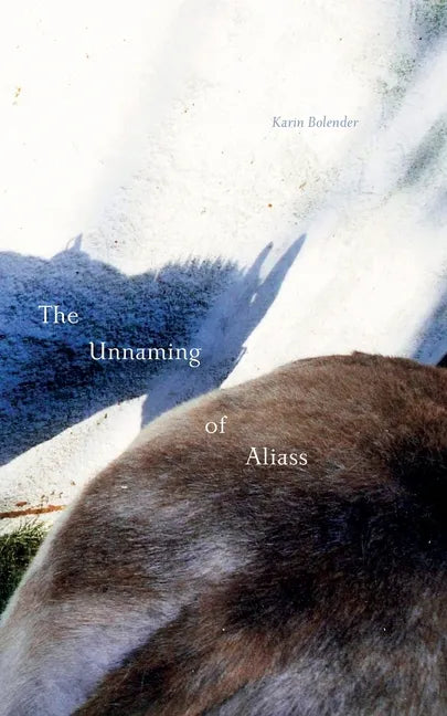 The Unnaming of Aliass - Paperback