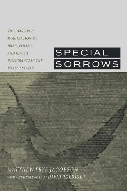 Special Sorrows: The Diasporic Imagination of Irish, Polish, and Jewish Immigrants in the United States - Paperback