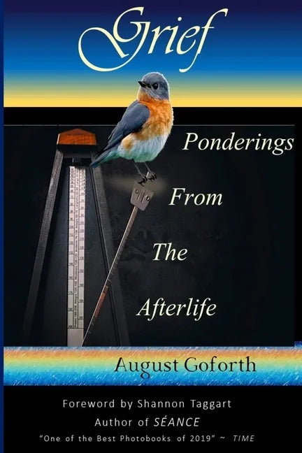 Grief: Ponderings From The Afterlife - Paperback