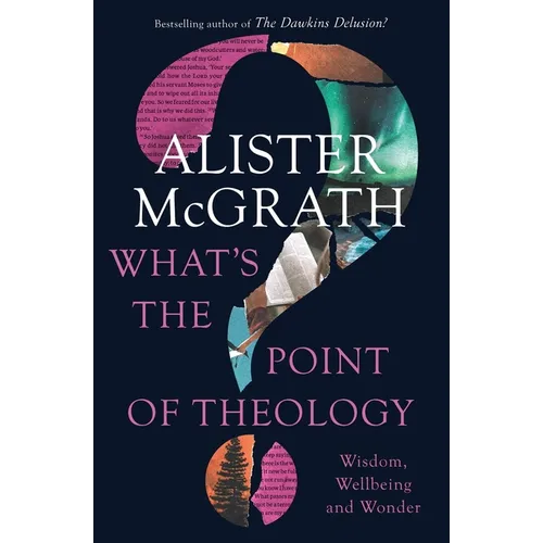 What's the Point of Theology?: Wisdom, Wellbeing and Wonder - Paperback