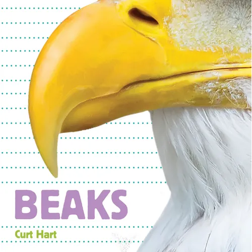 Beaks - Board Book