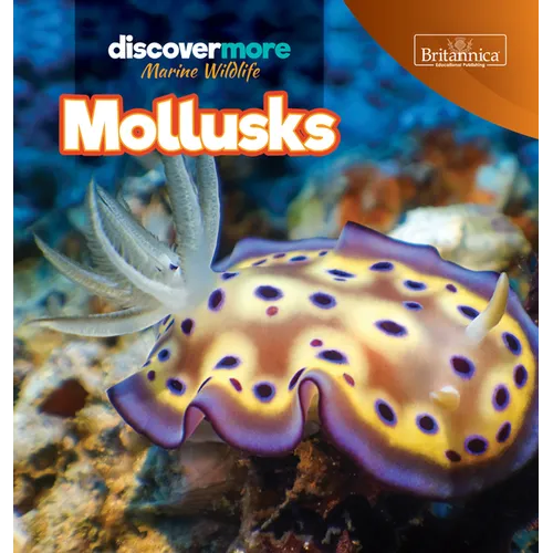Mollusks - Paperback