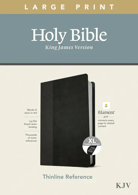 KJV Large Print Thinline Reference Bible, Filament Enabled Edition (Red Letter, Leatherlike, Black/Onyx, Indexed) - Imitation Leather