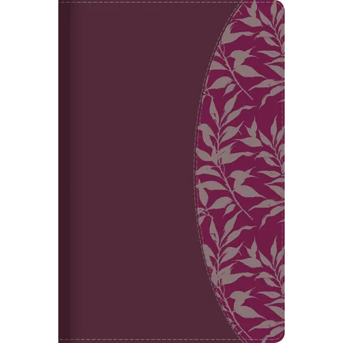 Rvr 1960 Biblia de Estudio Para Mujeres, Vino Tinto/Fucsia S匇il Piel Con ヘndice - Imitation Leather