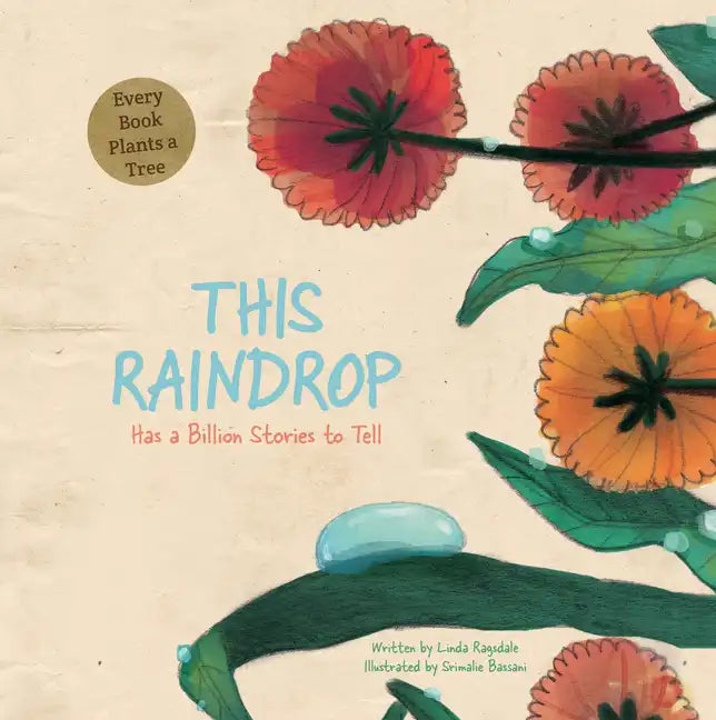 This Raindrop: Has a Billion Stories to Tell - Hardcover