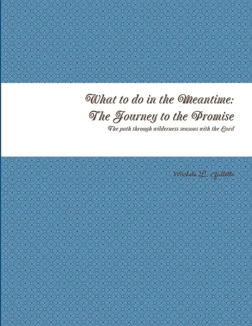 What to do in the Meantime: The Journey to God's Promises - Paperback