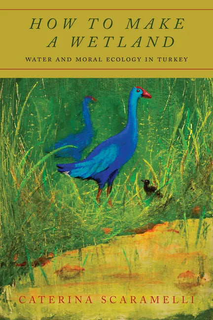 How to Make a Wetland: Water and Moral Ecology in Turkey - Hardcover