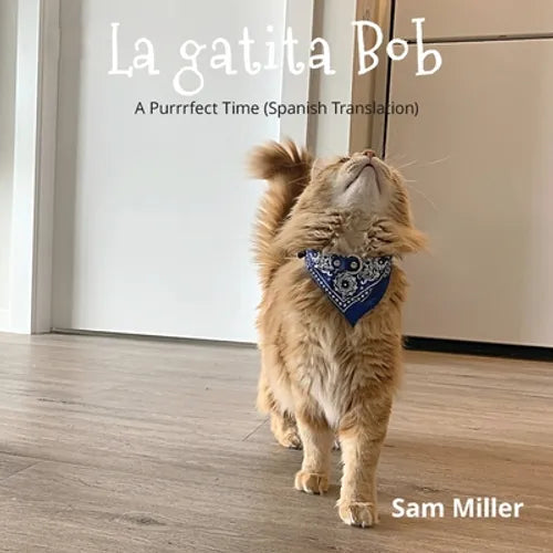 La gatita Bob - niño bebé libro prekinder Jardín infantil niña - Paperback