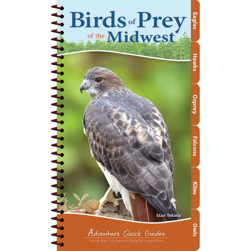 Birds of Prey of the Midwest: Your Way to Easily Identify Raptors - Spiral