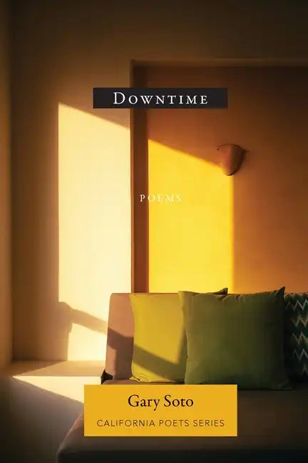 Downtime - Paperback