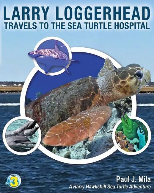 Larry Loggerhead Travels to the Sea Turtle Hospital - Paperback