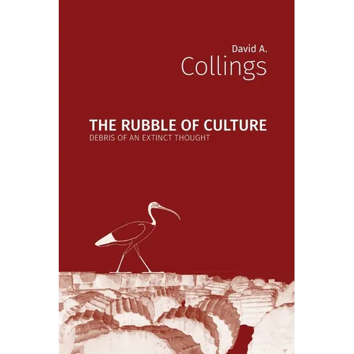 The Rubble of Culture - Paperback