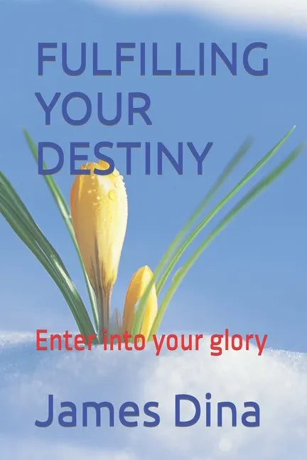 Fulfilling Your Destiny: Enter into your glory - Paperback