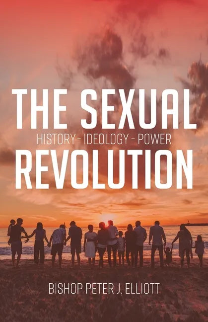 The Sexual Revolution: History Ideology Power - Paperback