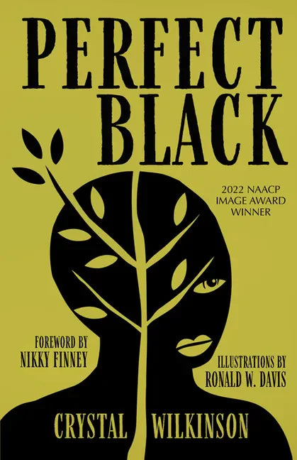 Perfect Black - Paperback