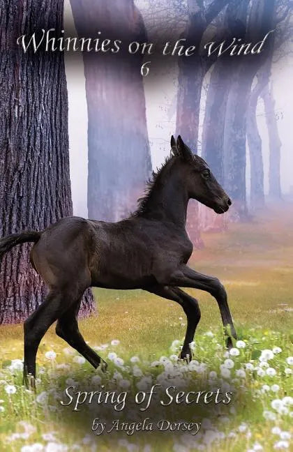 Spring of Secrets: A Wilderness Horse Adventure - Paperback