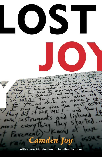 Lost Joy - Paperback