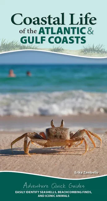 Coastal Life of the Atlantic and Gulf Coasts: Easily Identify Seashells, Beachcombing Finds, and Iconic Animals - Spiral