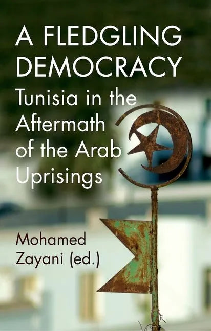 A Fledgling Democracy: Tunisia in the Aftermath of the Arab Uprisings - Paperback