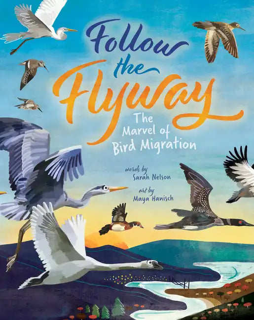 Follow the Flyway: The Marvel of Bird Migration - Hardcover