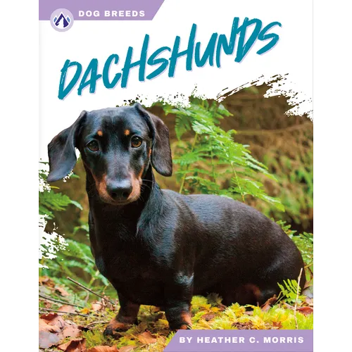 Dachshunds - Library Binding