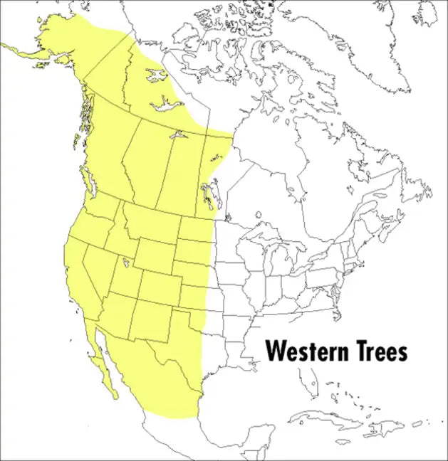 A Peterson Field Guide to Western Trees: Western United States and Canada - Paperback