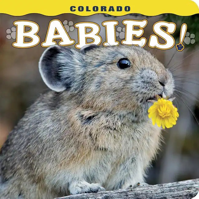 Colorado Babies! - Hardcover