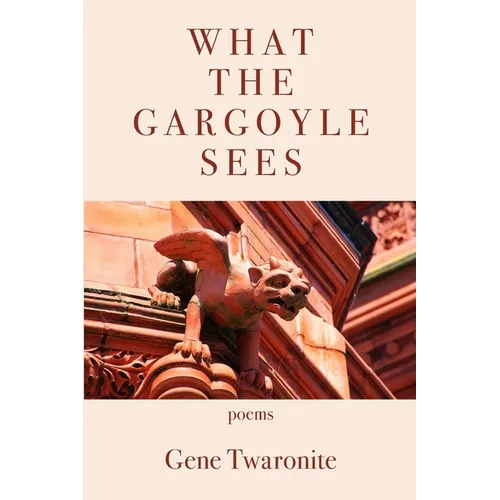 What the Gargoyle Sees - Paperback