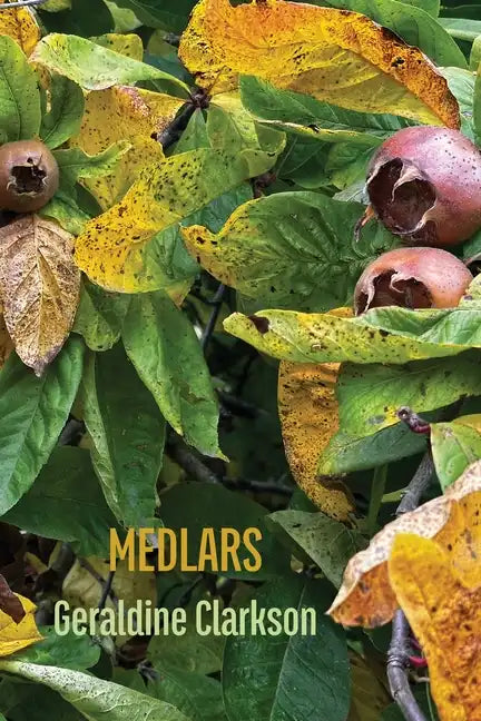 Medlars - Paperback
