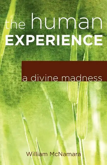 The Human Experience: A Divine Madness - Paperback