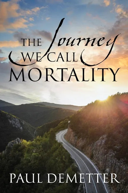 The Journey We Call Mortality - Paperback