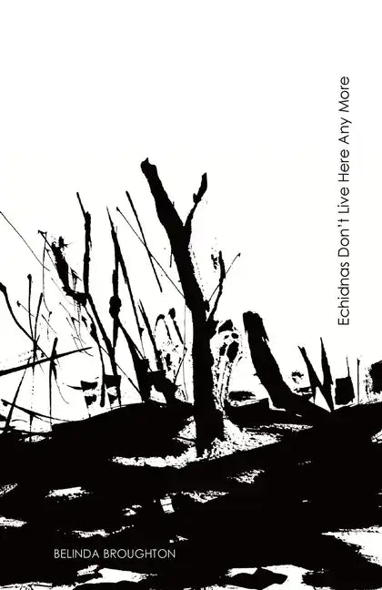Echidnas Don't Live Here Any More: Poems of loss and recovery since the Black Summer bushfires - Paperback
