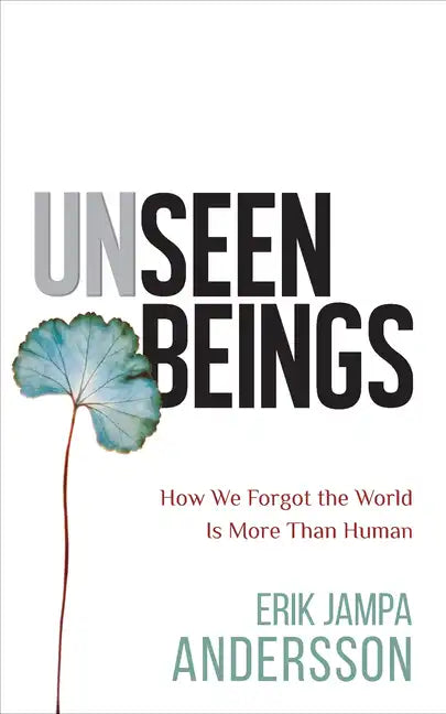 Unseen Beings: How We Forgot the World Is More Than Human - Paperback