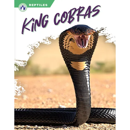 King Cobras - Paperback