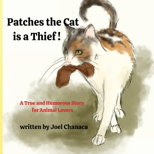 Patches The Cat is a Thief ! - Paperback