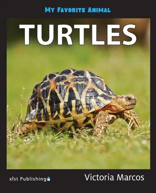 My Favorite Animal: Turtles - Paperback