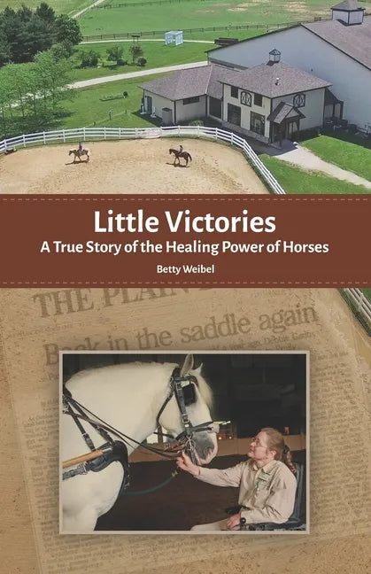 Little Victories: A True Story of the Healing Power of Horses - Paperback