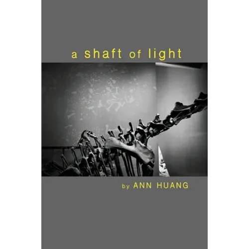 A shaft of light - Paperback