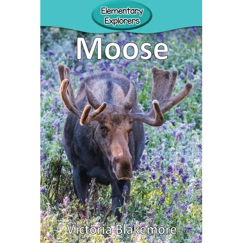 Moose - Paperback