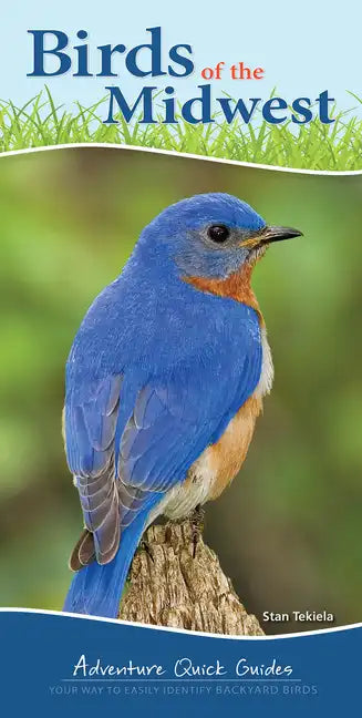 Birds of the Midwest: Identify Backyard Birds with Ease - Spiral