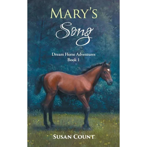 Mary's Song - Hardcover