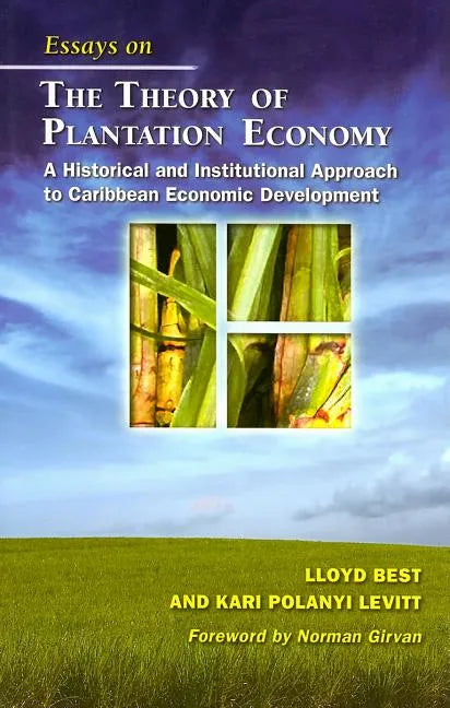 Essays on the Theory of Plantation Economy: A Historical and Institutional Approach to Caribbean Economic Development - Paperback