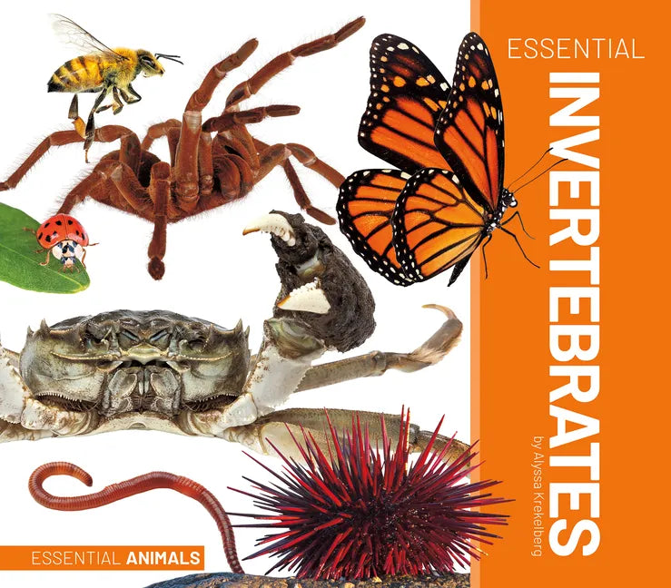 Essential Invertebrates - Library Binding