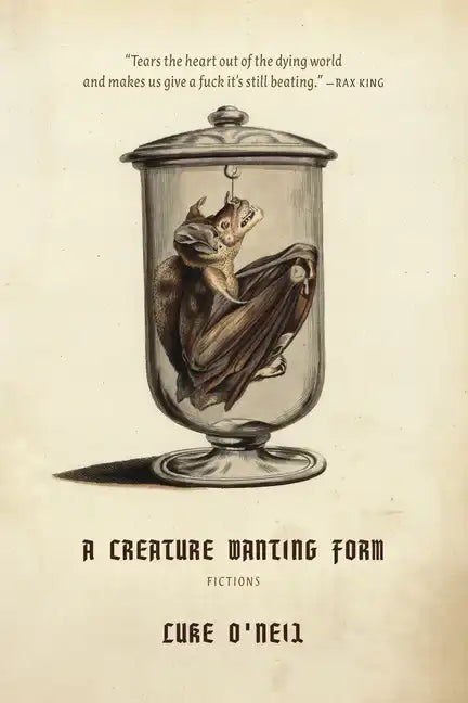 A Creature Wanting Form: Fictions - Paperback